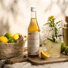 Agroposta organic Syrup - Lemongrass/Ginger